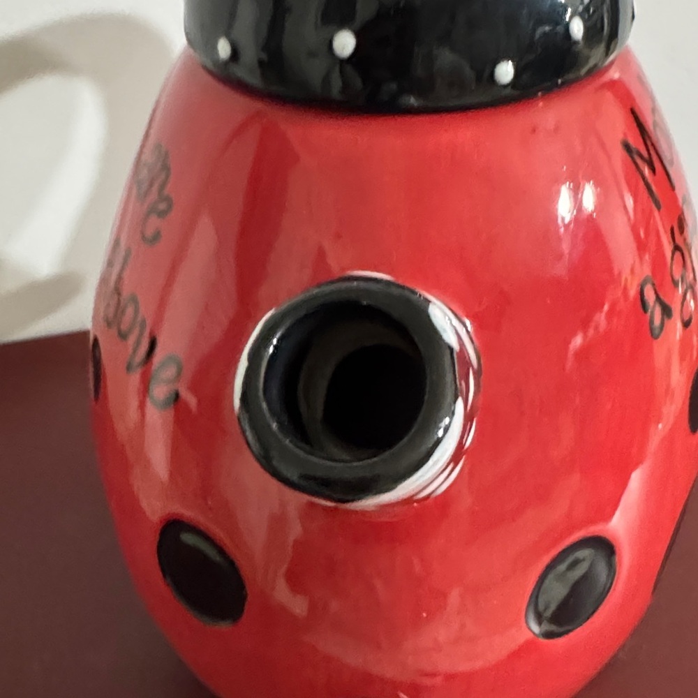 Burton & Burton Red and Black Ladybug Teapot with Mothers are a gift from above - Picture 4 of 10